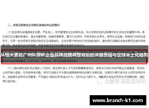 从恒大更名广州队探析企业品牌战略调整背后的深层原因与足球本土化趋势