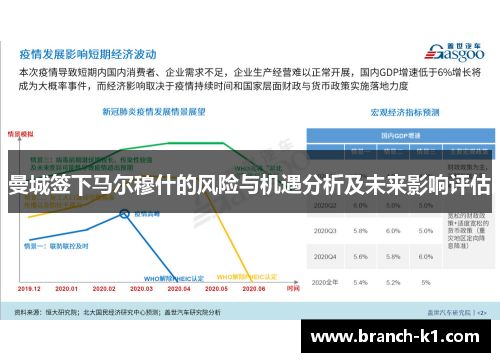 曼城签下马尔穆什的风险与机遇分析及未来影响评估