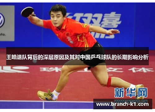 王皓退队背后的深层原因及其对中国乒乓球队的长期影响分析