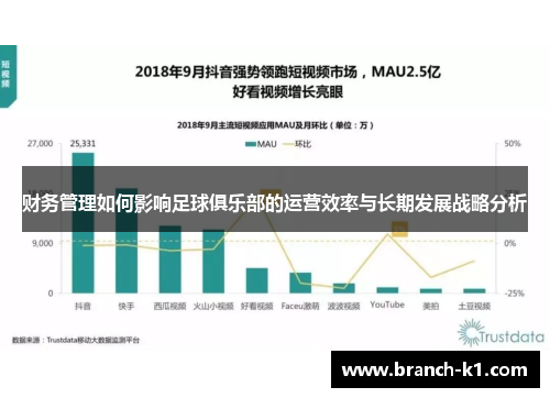 财务管理如何影响足球俱乐部的运营效率与长期发展战略分析