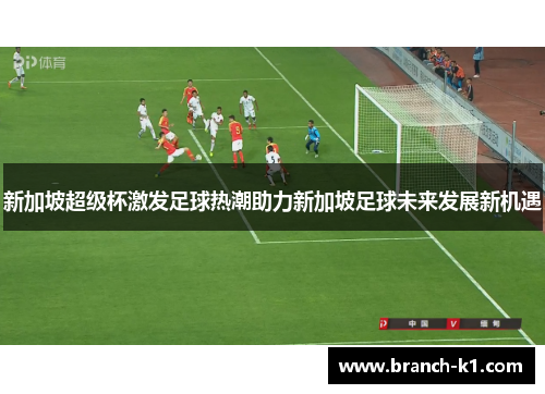 新加坡超级杯激发足球热潮助力新加坡足球未来发展新机遇