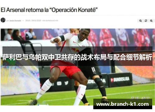 萨利巴与乌帕双中卫共存的战术布局与配合细节解析